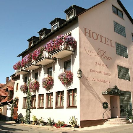 Hotel Ebner Bad Königshofen im Grabfeld Exterior foto
